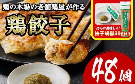 鶏の本場の老舗鶏屋が作る味鶏の餃子セット (計48個・1Pあたり12個入・柚子胡椒30g付き！) 鶏餃子 餃子 鶏肉 ぎょうざ おかず お惣菜 おつまみ 冷凍【V-70】【味鶏フーズ】