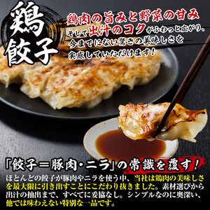 鶏の本場の老舗鶏屋が作る味鶏の餃子セット (計48個・1Pあたり12個入・柚子胡椒30g付き！) 鶏餃子 餃子 鶏肉 ぎょうざ おかず お惣菜 おつまみ 冷凍【V-70】【味鶏フーズ】
