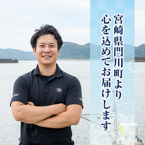 国産 うなぎ 蒲焼 (約170g×1尾) 鰻 タレ かば焼き うな重 うな丼 ひつまぶし 小分け 真空包装 真空パック 【AW-89】【丸正水産】