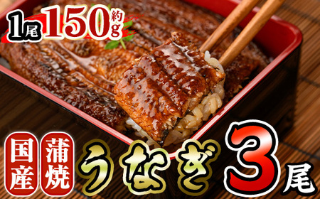 国産 うなぎ 蒲焼 (約150g×3尾) 鰻 タレ かば焼き うな重 うな丼 ひつまぶし 小分け 真空包装 真空パック 【AW-93】【丸正水産】