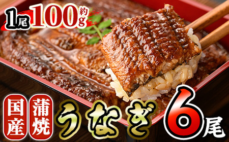 国産 うなぎ 蒲焼 (約100g×6尾) 鰻 タレ かば焼き うな重 うな丼 ひつまぶし 小分け 真空包装 真空パック 【AW-96】【丸正水産】