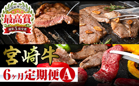 【定期便・全6回】宮崎牛定期便＜Aセット・焼肉＞ お楽しみ便 牛肉 国産 定期 ヒレ肉 モモ ウデ ロース バラ 宮崎県産 黒毛和牛 焼肉 ステーキ 【R-100】【ミヤチク】