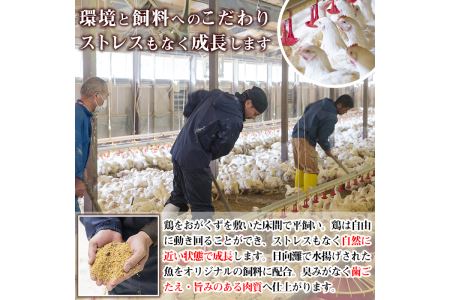 【C-4】宮崎県産ブランド鶏「夢創鶏」もも切身(計1.6kg・200g×8P)小分け包装で使いやすい！【英楽】