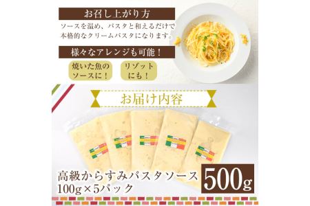 高級からすみパスタソース(計500g・100g×5P)カラスミ クリームソース スパゲッティ 冷凍 小分け 豆乳 おかず 簡単調理 宮崎県 門川町 【AC-12】【イタリア料理 Bliss】