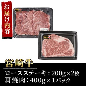 宮崎牛ロースステーキ(400g・200g×2枚)＆宮崎牛肩焼肉(400g)A4 A5 牛肉 精肉 お肉 カタ 黒毛和牛 ブランド和牛 お取り寄せ セット 詰め合わせ 詰合せ 食べ比べ 国産 冷凍 BBQ【P-22】【南日本フレッシュフード株式会社(日本ハムマーケティング株式会社)】