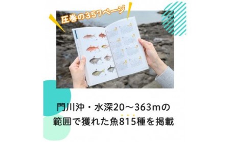新・門川の魚図鑑(1冊)お魚 知育 学習 本 書籍【AI-3】【門川町地域振興課】