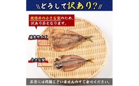 ＜訳あり＞国産あじ開き(40枚・計2kg以上)干物 鯵 セット 魚 魚介類 簡単 調理 冷凍【E-19】【水永水産】