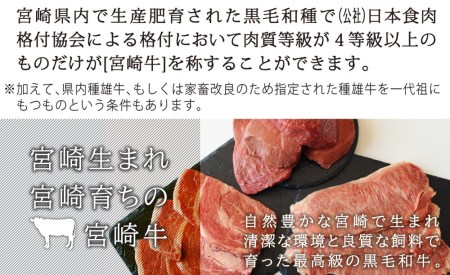 ＜定期便・全3回(連続)＞宮崎牛！ステーキ定期便(サーロイン・モモ・リブロース)国産 九州産 宮崎県産 牛肉 和牛 冷凍 【AP-16】【日向屋】