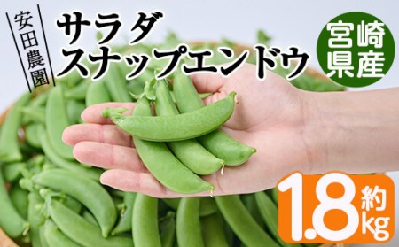 その他スナップエンドウ 70グラム 確認用 - 野菜