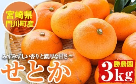 ＜先行予約受付中！2026年2月下旬～4月末発送予定＞宮崎県門川町産せとか(約3kg) 柑橘 果物 数量限定 期間限定 国産 フルーツ 常温保存 遠見半島 宮崎県 門川町 【AE-18】【勝農園】