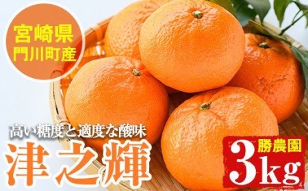 ＜先行予約受付中！2026年1月中旬～4月末の間に発送予定＞宮崎県門川町産津之輝(約3kg) みかん ミカン 蜜柑 柑橘 果物 くだもの フルーツ 冷蔵 宮崎県 門川町 【AE-14】【勝農園】