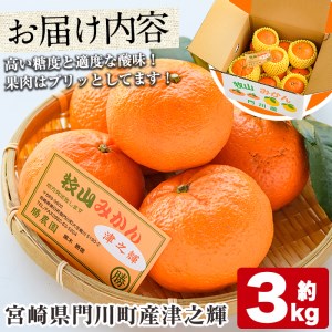 ＜先行予約受付中！2026年1月中旬～4月末の間に発送予定＞宮崎県門川町産津之輝(約3kg) みかん ミカン 蜜柑 柑橘 果物 くだもの フルーツ 冷蔵 宮崎県 門川町 【AE-14】【勝農園】