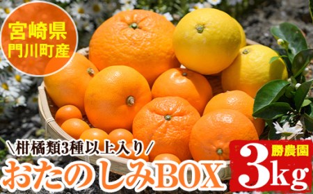 柑橘類おたのしみBOX(約3kg・3種類以上)柑橘 果物 数量限定 期間限定