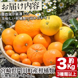＜先行予約受付中！2026年2月中旬～5月上旬の間に発送予定＞柑橘類おたのしみBOX(約3kg・3種類以上) 柑橘 果物 数量限定 期間限定 国産 フルーツ 詰め合わせ セット 遠見半島 宮崎県 門川町 【AE-22】【勝農園】
