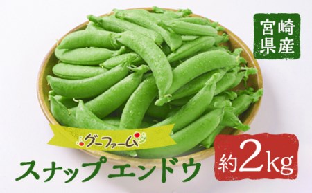 期間限定！スナップエンドウ(約2kg)野菜 やさい 旬 新鮮 サラダ そら豆 えんどう豆 宮崎県産【GF-1】【グーファーム】