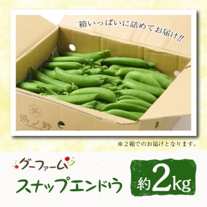 期間限定！スナップエンドウ(約2kg)野菜 やさい 旬 新鮮 サラダ そら豆 えんどう豆 宮崎県産【GF-1】【グーファーム】