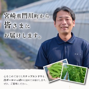 期間限定！スナップエンドウ(約2kg)野菜 やさい 旬 新鮮 サラダ そら豆 えんどう豆 宮崎県産【GF-1】【グーファーム】