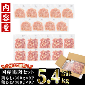 ＜訳あり・簡易包装＞国産カット鶏肉セット(合計6kg・もも300g×10P・むね300g×10P)胸肉 唐揚げ 照り焼き 使いやすい 便利 簡単 調理 冷凍 【V-27】【味鶏フーズ】