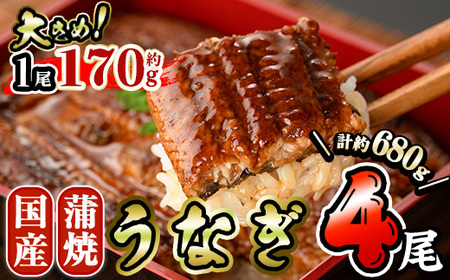 国産 うなぎ 蒲焼 (約170g×4尾) 鰻 タレ かば焼き うな重 うな丼 ひつまぶし 小分け 真空包装 真空パック 【AW-18】【丸正水産】