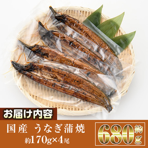 国産 うなぎ 蒲焼 (約170g×4尾) 鰻 タレ かば焼き うな重 うな丼 ひつまぶし 小分け 真空包装 真空パック 【AW-18】【丸正水産】
