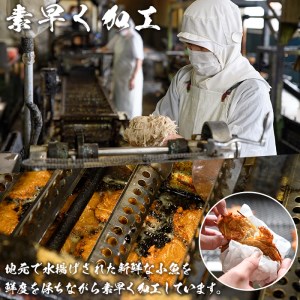 さつま揚げ あげみ (計12枚・6枚×2パック) 国産 宮崎県産 門川町産 すりみ さつまあげ おつまみ おかず 弁当 惣菜 おでん 鍋 魚 魚介 【KI-3】【イチマル食品加工】