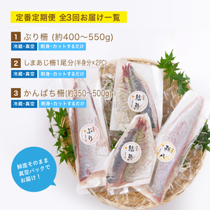 【北海道・離島配送不可】＜定期便・全3回(連続)＞旬の鮮魚(3ヶ月コース)お刺身 お刺し身 魚介 海鮮 ブリ ぶり 鰤 シマアジ カンパチ シマアジ 真空パック お楽しみ【UZ-01】【請関水産】