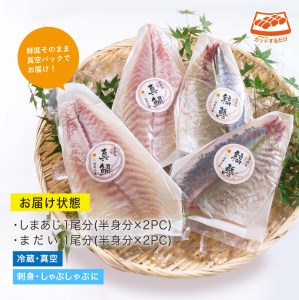 【北海道・離島配送不可】新鮮！真鯛としまあじのお刺身セット(合計約800g～1kg)お刺し身 魚介 海鮮 まだい マダイ シマアジ 詰め合わせ 詰合せ 真空パック【UZ-07】【請関水産】