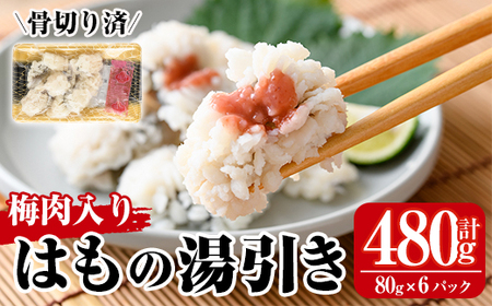 鱧の湯引き 梅肉入り(計480g・80g×6P)はも ハモ 骨切り 海鮮 おつまみ 国産 小分け 冷凍 魚介 宮崎県産【MR-3】【マルユウ水産】