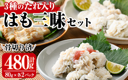 鱧三昧セット(合計480g・3種×各2P)はも ハモ 湯引き タタキ たたき 骨切り 海鮮 おつまみ 梅肉 酢みそ 酢味噌 タレ たれ 国産 小分け 冷凍 魚介 食べ比べ 詰め合わせ 詰合せ 宮崎県産【MR-6】【マルユウ水産】