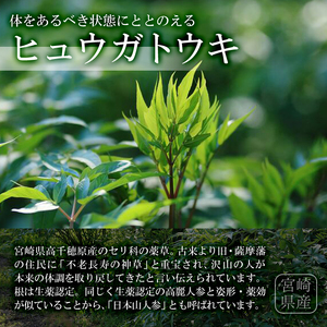 日々是トウキ茶(40g×1袋)お茶 飲み物 粉末 便利 簡単 生薬 ヒュウガトウキ 日本山人参 栽培期間中農薬・化学肥料不使用 宮崎県産 国産【AY-1】【AYA-HIMUCA】