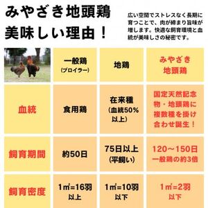 【宮崎県諸塚村】みやざき地頭鶏 1羽丸鶏セット【配送不可地域:離島】【1481706】