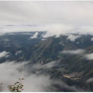 【宮崎県諸塚村】みやざき地頭鶏 1羽丸鶏セット【配送不可地域:離島】【1481706】