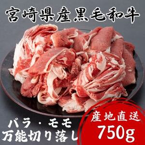 宮崎県産黒毛和牛バラ・モモ万能切り落し 750g(諸塚村)【配送不可地域：離島】【1675784】