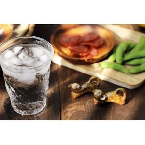 園の露 30度 720ml 2本【1680140】