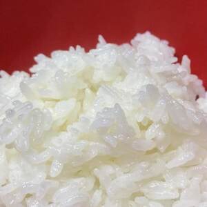 おいしい水が育んだお米 諸塚村産白米ヒノヒカリ 5kg【1683804】