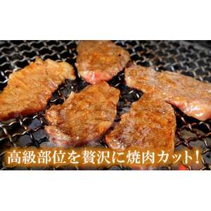 A5～A4等級 宮崎牛 サーロイン 焼肉 600g(諸塚村)【配送不可地域：離島】【1416004】