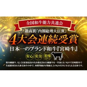 A5～A4等級 宮崎牛 サーロイン 焼肉 600g(諸塚村)【配送不可地域：離島】【1416004】