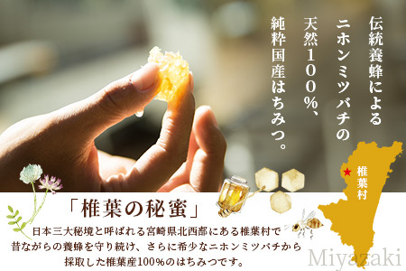 秘境を味わう】【7営業日以内発送】椎葉の秘蜜 【250g×4本】国産天然