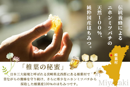 【秘境を味わう】【7営業日以内発送】椎葉の秘蜜 【50g×2本,150g×2本の計4本】国産天然はちみつ【数量限定】送料無料 宮崎県 椎葉村 秘境 蜂蜜 はちみつ ハチミツ みつばち ミツバチ 伝統的 養蜂 国産 天然 百花蜜 巣箱 数量限定 季節 希少 50g 150g 400g【MS-12】