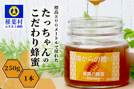 標高800m たっちゃんのこだわり蜂蜜【250g×1本】 蜂蜜 はちみつ ハチミツ みつばち ミツバチ 伝統的 養蜂 国産 天然 百花蜜 巣箱 数量限定 季節 希少 250g 蜂蜜 はちみつ ハチミツ 蜂蜜 はちみつ ハチミツ 蜂蜜 はちみつ ハチミツ 蜂蜜 はちみつ ハチミツ 蜂蜜 はちみつ ハチミツ 蜂蜜 はちみつ ハチミツ 蜂蜜 はちみつ ハチミツ 蜂蜜 はちみつ ハチミツ蜂蜜 はちみつ ハチミツ蜂蜜 はちみつ ハチミツ 蜂蜜 はちみつ ハチミツ 蜂蜜 はちみつ ハチミツ 蜂蜜 はちみつ ハチミツ 蜂蜜 はちみつ ハチミツ 蜂蜜 はちみつ ハチミツ 蜂蜜 はちみつ ハチミツ TN-01