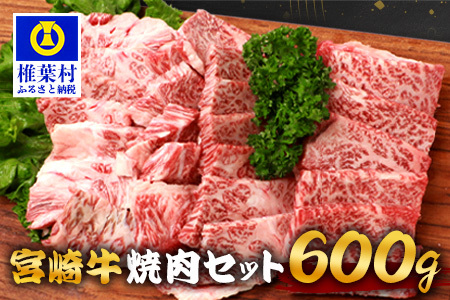 宮崎牛 焼肉セット 600g 宮崎牛 和牛 黒毛和牛 牛肉 焼肉 精肉 モモ肉 バラ肉 TK-97