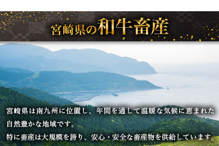 宮崎県産 和牛切り落とし 900g×2（1,800g） TK-99 ［送料無料 宮崎県 椎葉村 国産 国産牛 精肉 和牛 牛 牛肉 赤身 にく おにく 肉 お肉 すきやき すき焼き カレー 冷凍 ごちそう 贈物 おすすめ 人気］