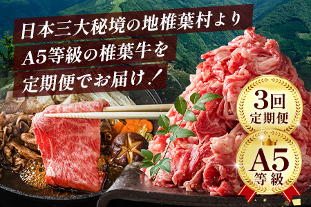 お試し定期便 【 定期便 3回 】 総重量 1,900g 牛肉 椎葉牛の スライス肉 ＆ 切り落とし肉 定期便 【 日本三大秘境 椎葉村 育ちの黒毛和牛 】 牛肉 定期便 肉 牛スライス肉 牛切り落とし肉 A5等級指定 黒毛和牛 A5ランク TK-100