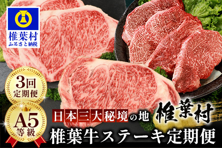 【 定期便 全3回 】 月に1回のお楽しみ！ 椎葉牛ステーキ定期便 総重量 1,080g 【 日本三大秘境 椎葉村 育ちの黒毛和牛 】 牛肉 ステーキ 定期便 肉 牛ヒレ ヒレ肉 ロース サーロイン A5等級指定 黒毛和牛 A5ランク TK-102
