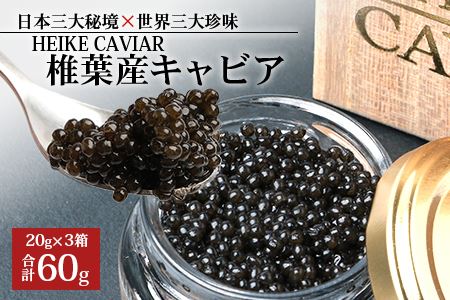 【桐箱入り】HEIKE CAVIAR 60g 【宮崎県 椎葉村】 チョウザメ キャビア 【世界三大珍味×日本三大秘境】チョウザメ キャビア 60g 魚卵 魚介 珍味 SZ-107