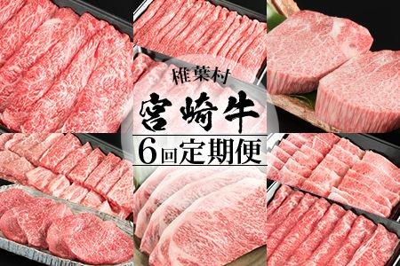 【定期便 6回】受賞歴多数!! 宮崎牛を6ヶ月で合計4.9キロ 宮崎牛づくし 牛肉 和牛 肉 肩ロース うで ヒレ もも ばら ステーキ すき焼き しゃぶしゃぶ 焼肉 BBQ 牛丼 MT-39