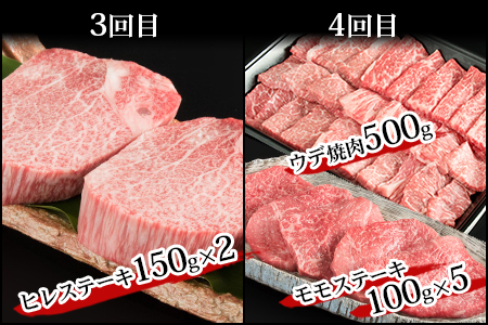 【定期便 6回】受賞歴多数!! 宮崎牛を6ヶ月で合計4.9キロ 宮崎牛づくし 牛肉 和牛 肉 肩ロース うで ヒレ もも ばら ステーキ すき焼き しゃぶしゃぶ 焼肉 BBQ 牛丼 MT-39