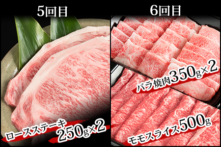 【定期便 6回】受賞歴多数!! 宮崎牛を6ヶ月で合計4.9キロ 宮崎牛づくし 牛肉 和牛 肉 肩ロース うで ヒレ もも ばら ステーキ すき焼き しゃぶしゃぶ 焼肉 BBQ 牛丼 MT-39