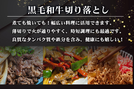  牛肉 宮崎県産 和牛 切り落とし 900g 牛肉 肉 牛切り落とし TK-35