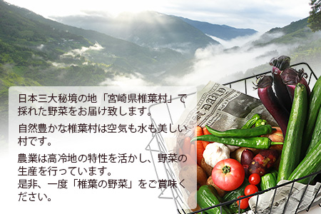 【先行受付】日本三大秘境 椎葉村産の季節野菜セット【2024年7月~8月配送】